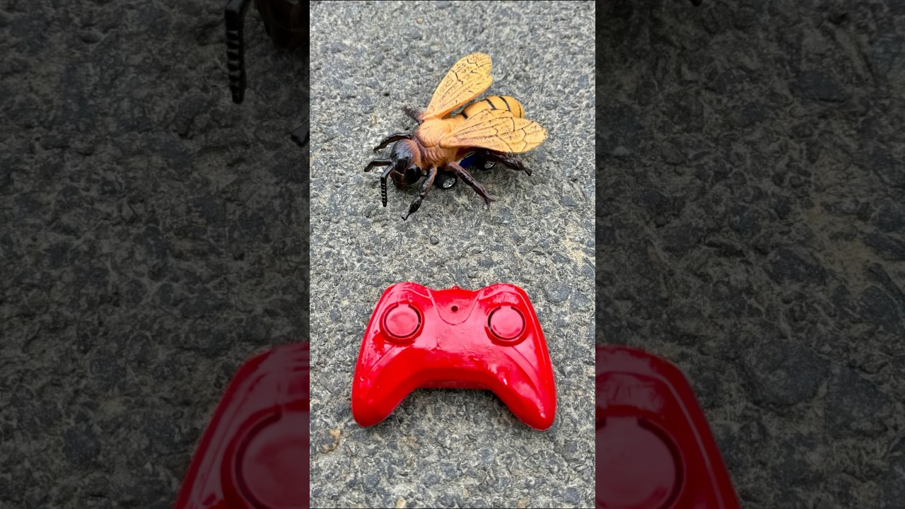 Naya Remote Control Beetle🐝 ki unboxing