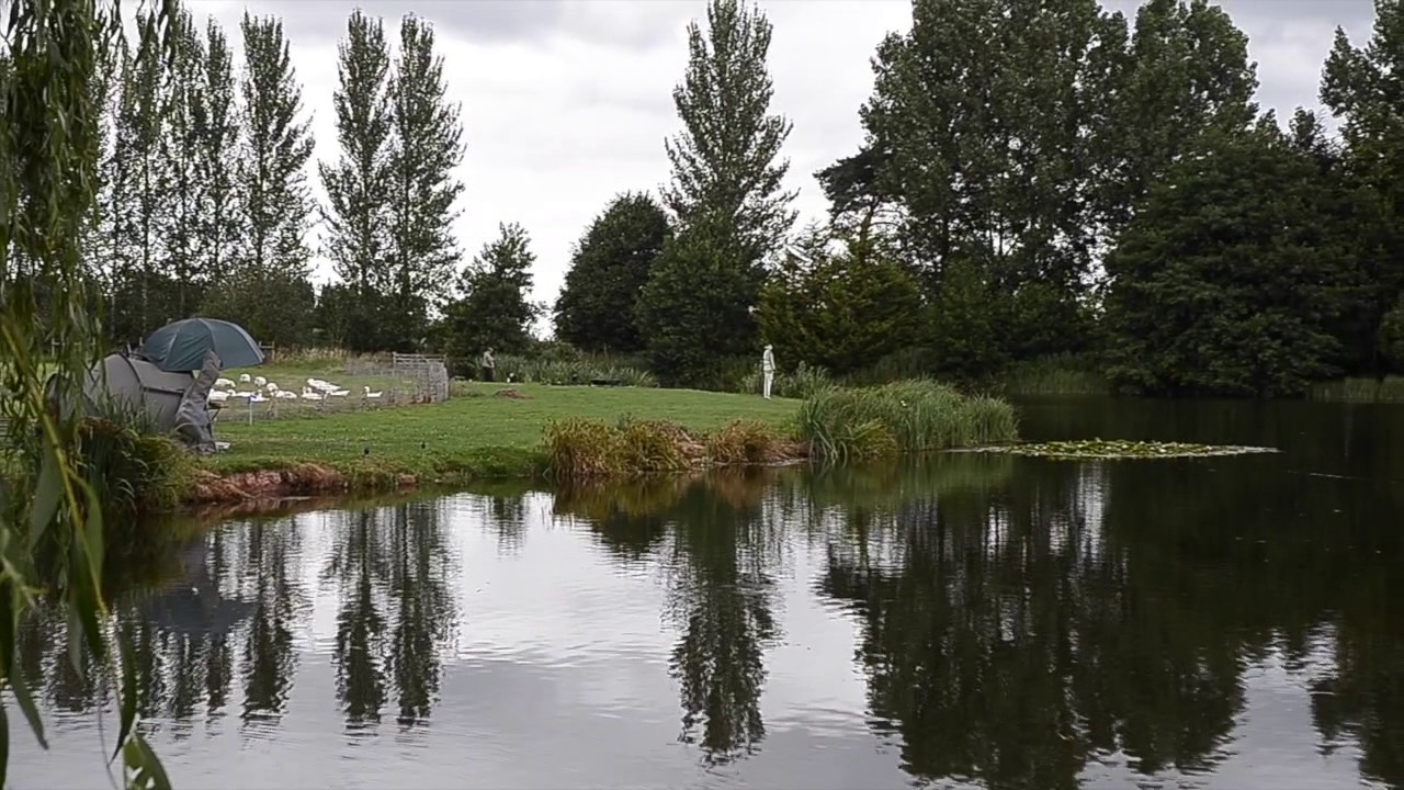 MAUNSEL PONDS, NORTH NEWTON, TAUNTON, SOMERSET