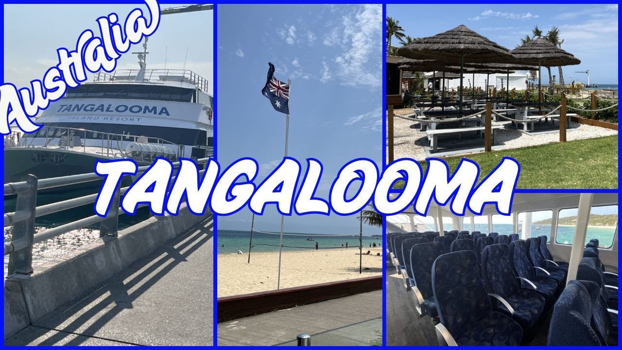 Tangalooma Island Resort | Beach Escape just outside Brisbane | Natural Beauty | Activities Galore!