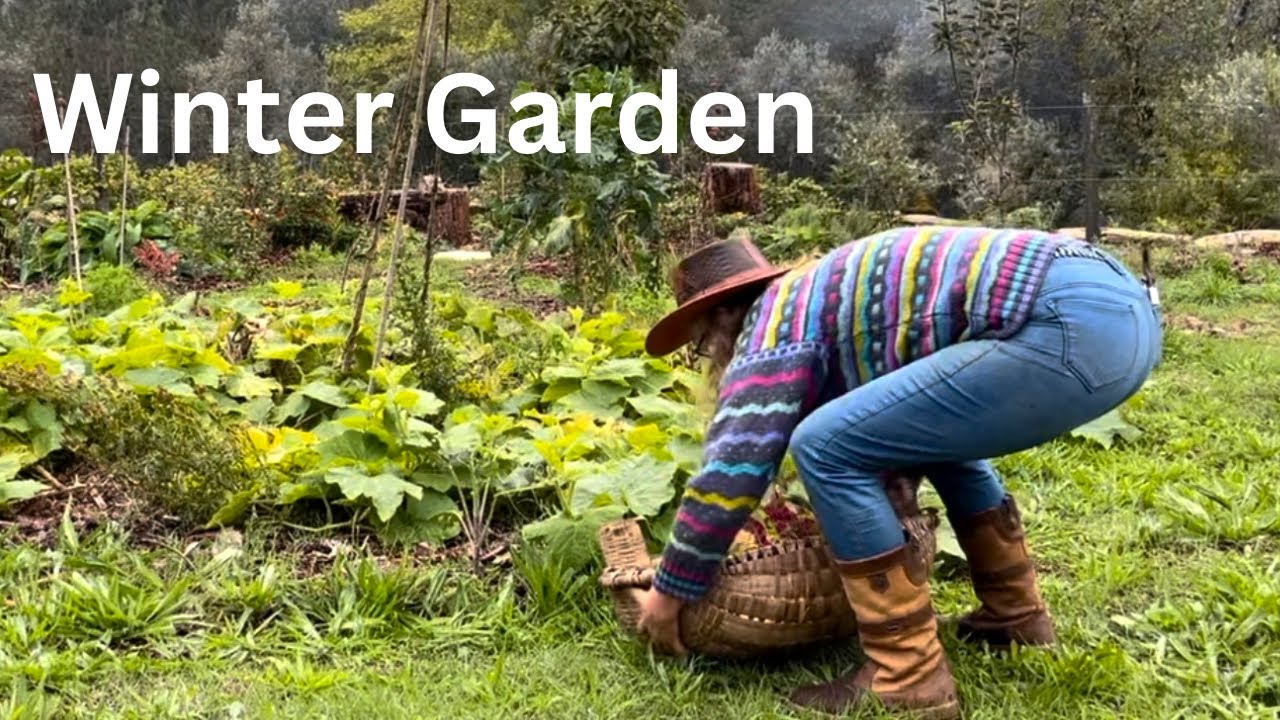 Abundant Vegetable Harvests | Planting Garlic | Wild Boar Damage