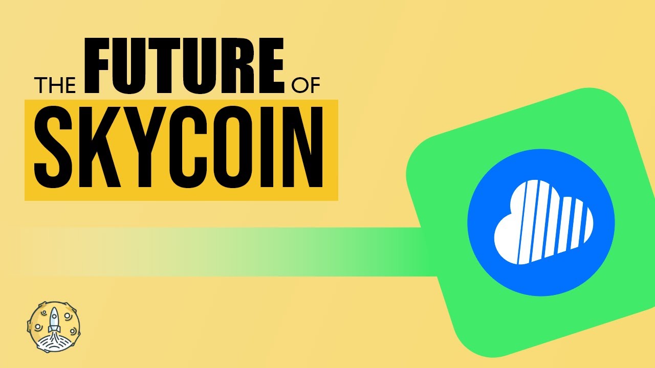 The Future of Skycoin and Its Journey | The New Decentralized Internet | Token Metrics
