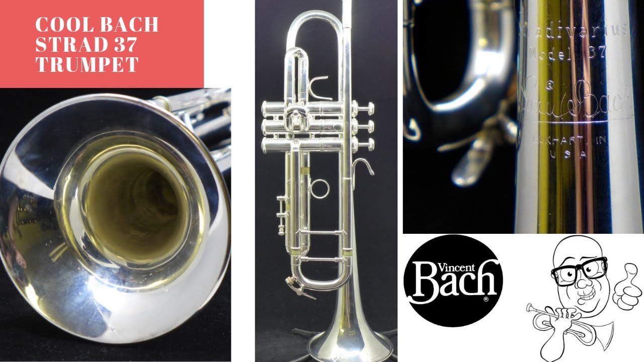 Incredible Pre-Owned Bach Stradivarius 37 Trumpet in Silver Plate  Trent Austin Demo (ACB)