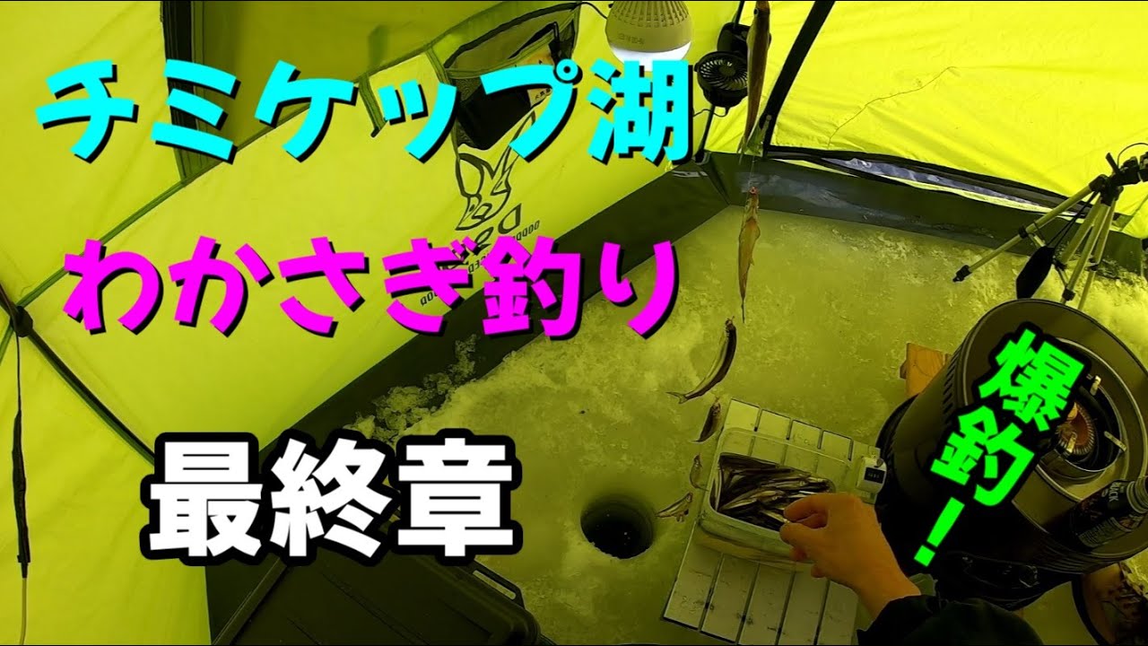 チミケップ湖　わかさぎ釣り　最終章　爆釣！　2023 3 14