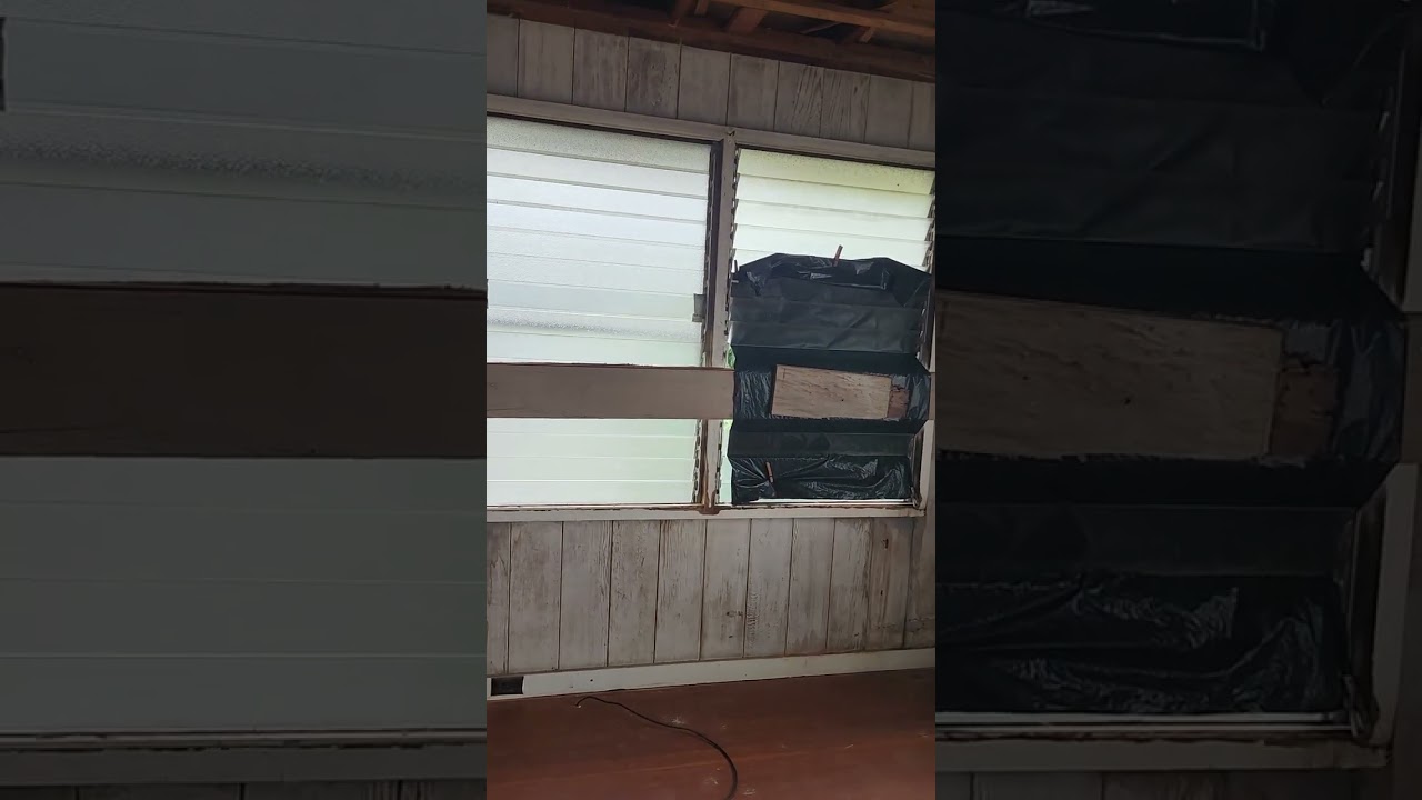 February 9th 2026 Hawaii House update. It's Windy and Rainy!