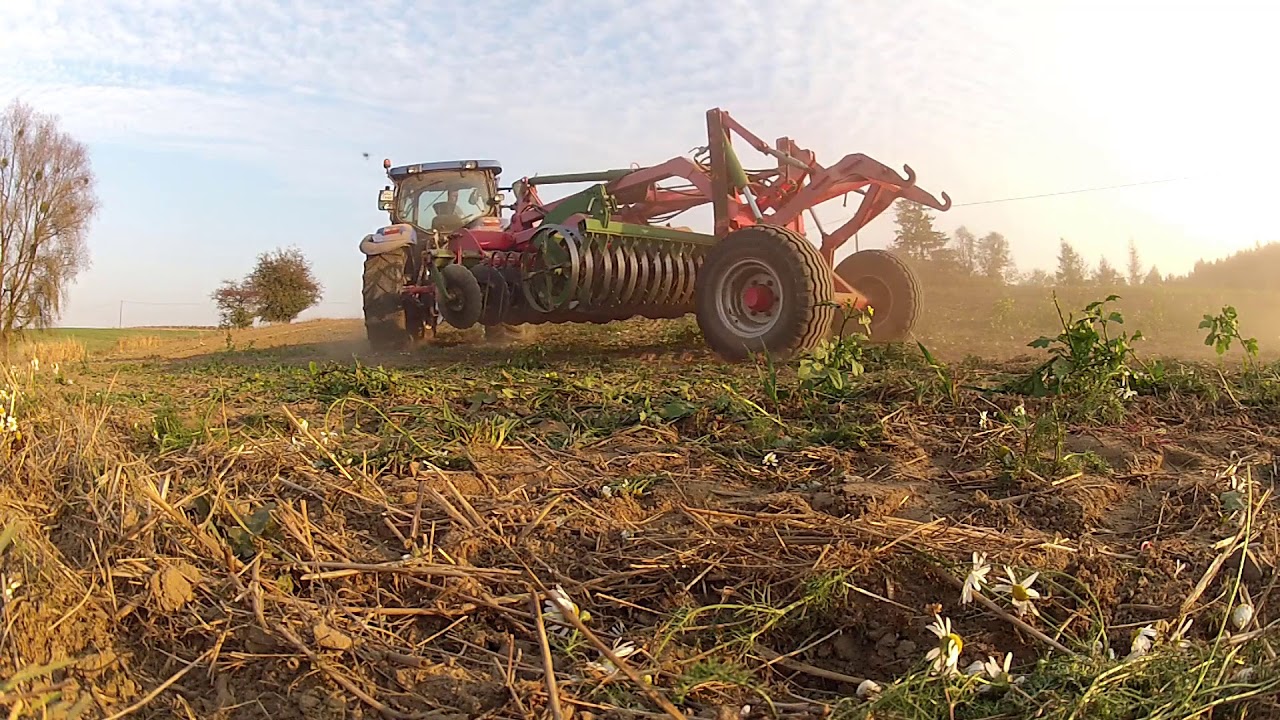 BESTIA ATAKUJE GÓRĘ! Czyli New Holland z talerzówką Ares w AKCJI !!