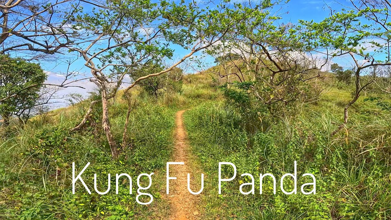 ETD - Kung Fu Panda - Dragon tail