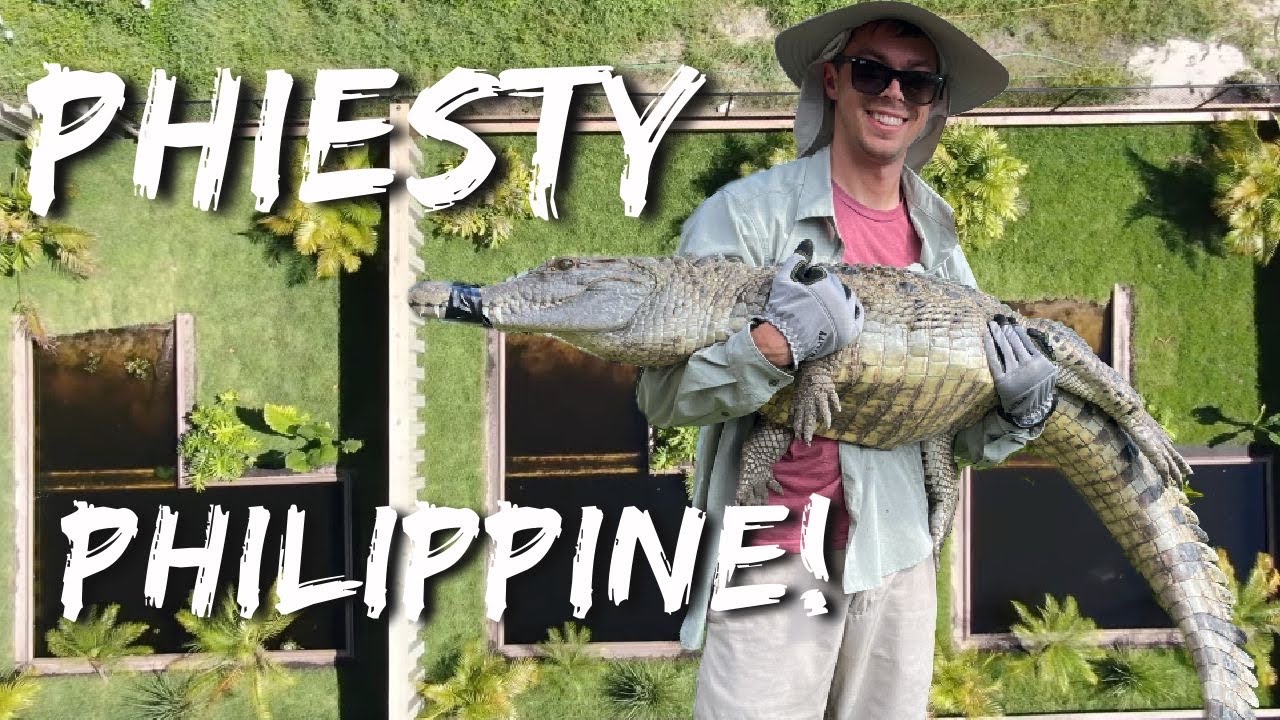 Most Endangered Crocodiles Get A New Home! | Primitive Predators