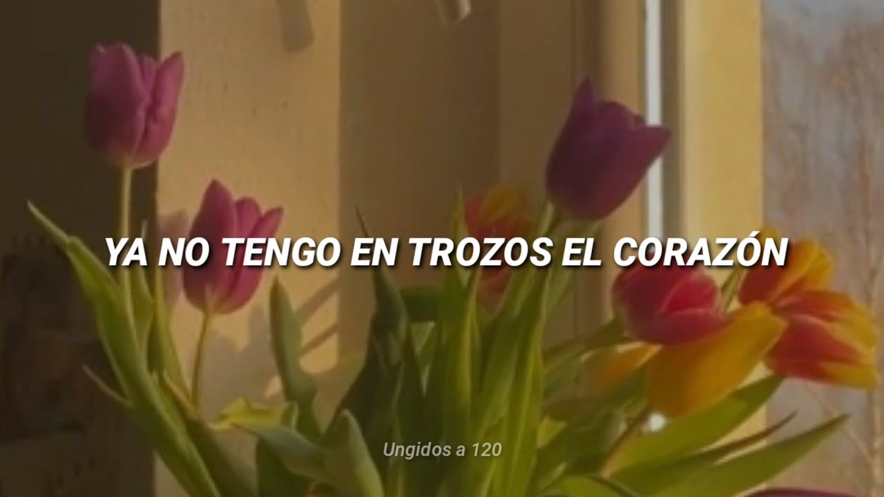 Janaimar &mdash; Trozos [letras] // Y sanas mi coraz&oacute;n roto