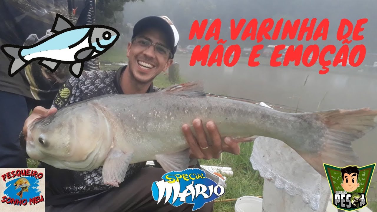#191 - EXCELENTE PESQUEIRO NO GRANDE ABC PARA QUALQUER MODALIDADE