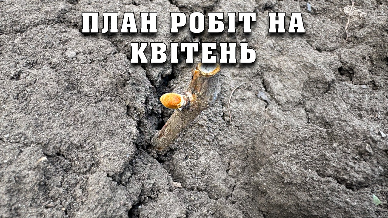 План робіт на квітень 2026. Початок сезону. Продаж Фалькону в дрібній фасовці