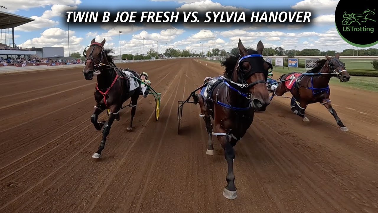 2025 -- USTrotting --Twin B Joe Fresh & Sylvia Hanover