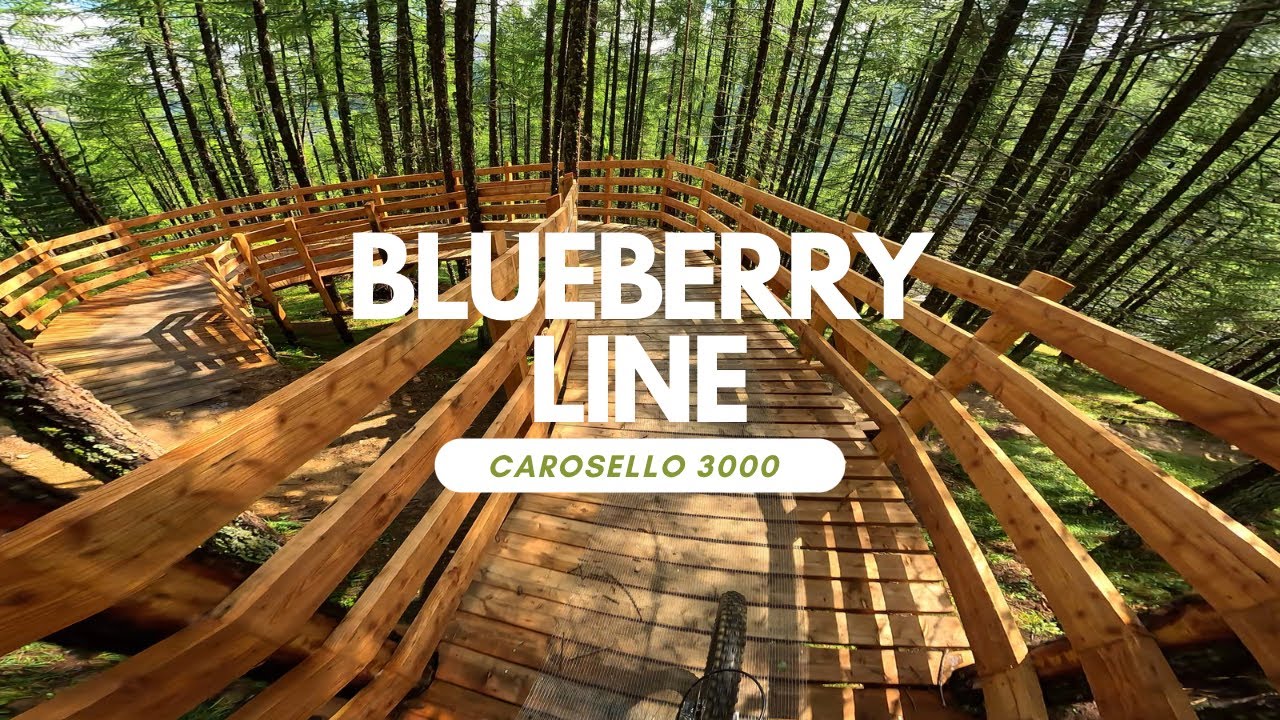 Blue Berry Line Bikepark Carosello 3000 Livigno Italy 🇮🇹 full run POV RAW