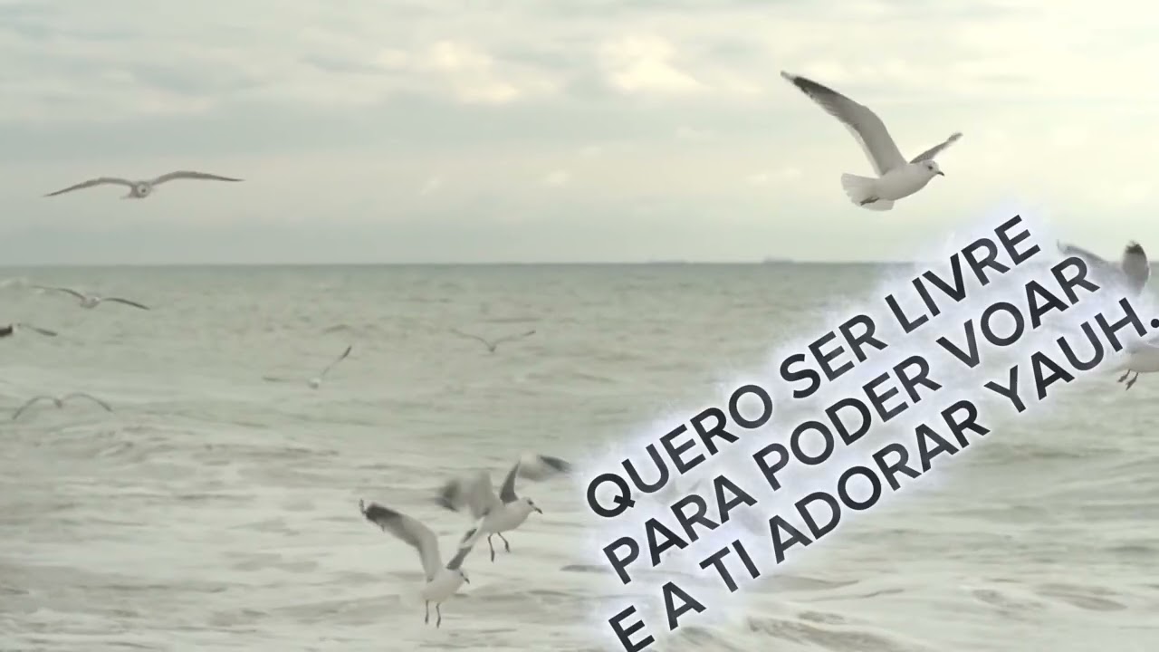 QUERO SER LIVRE PARA PODER VOAR E A TI ADORAR YAUH. R