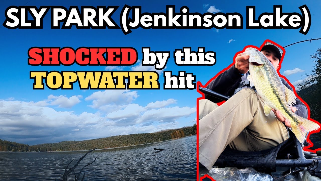 SLY PARK! This Topwater Hit Shocked Me&hellip;During a Random Cold Front?! (Jenkinson Lake)