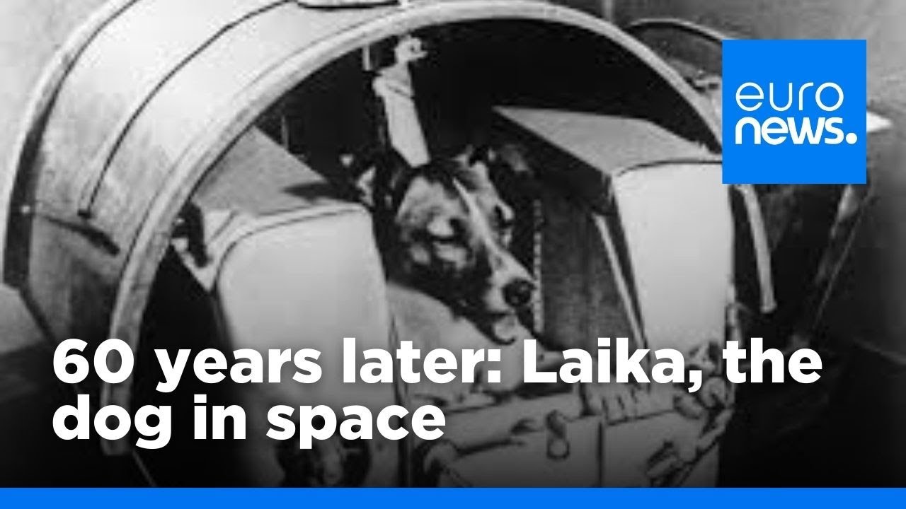 60 лет спустя — собака Лайка в космосе | euronews 🇬🇧