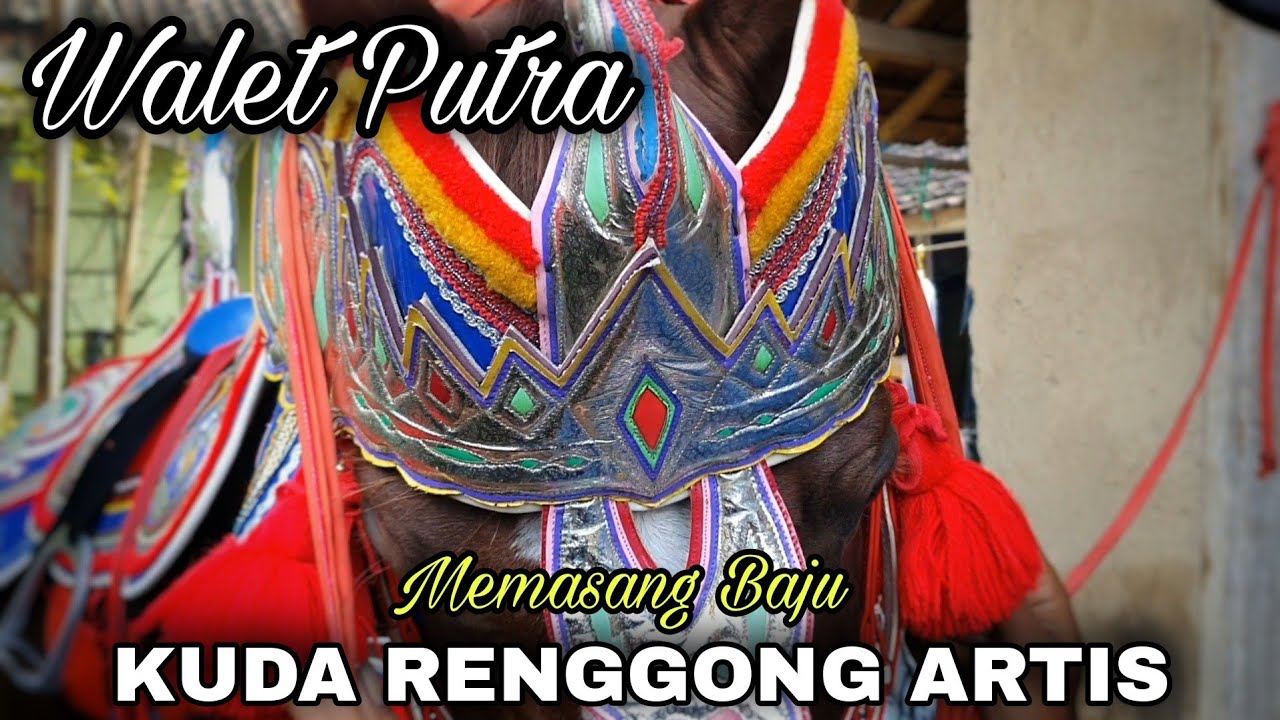 Kuda renggong - memasang baju kuda renggong sebelum pentas