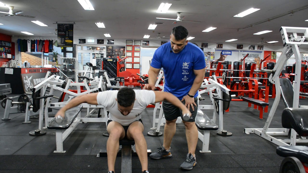 نشر دمبلص جالس منحني   Seated Dumbbell Rear Delt Raises