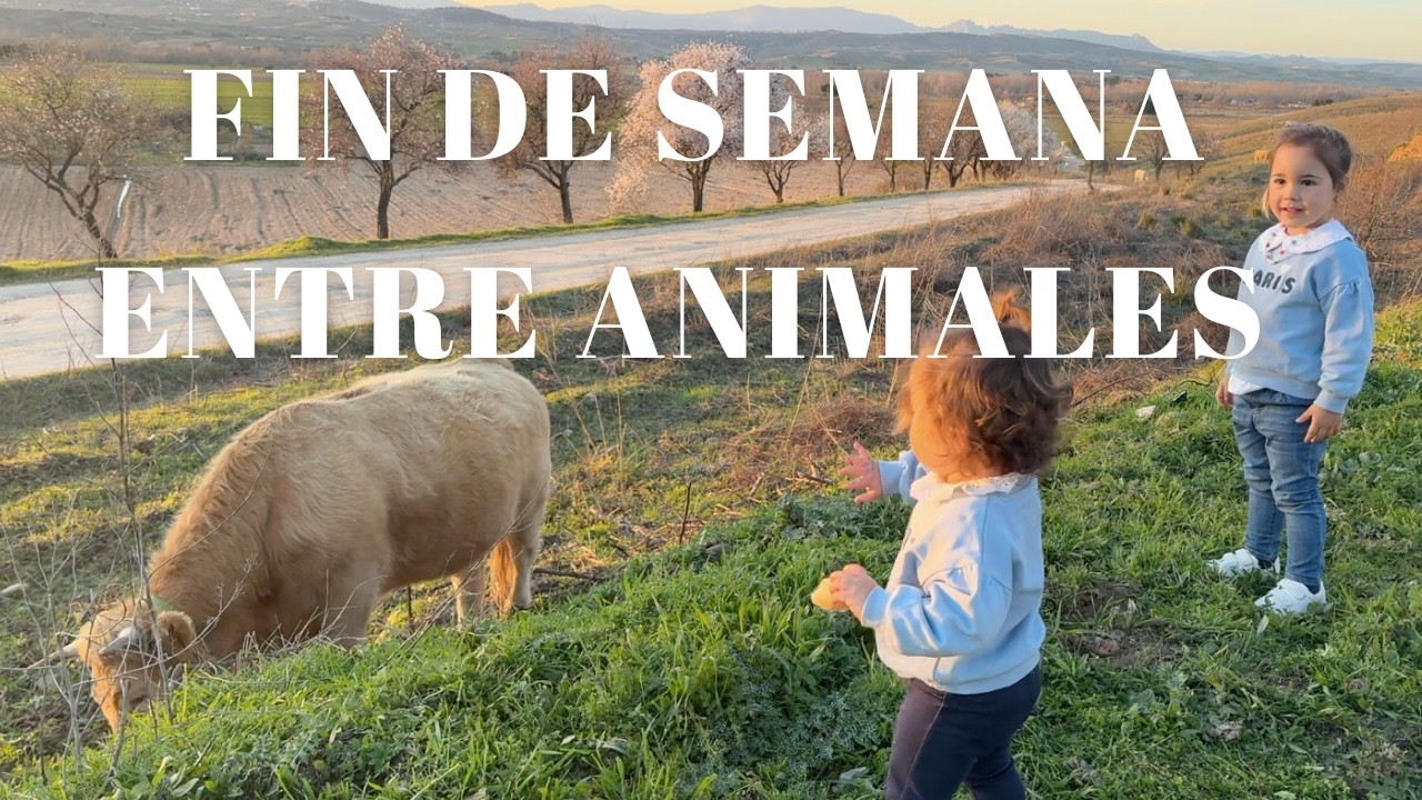 Guadalajara: fin de semana entre animales (GRATIS) + vida real en familia | Jigoo J300