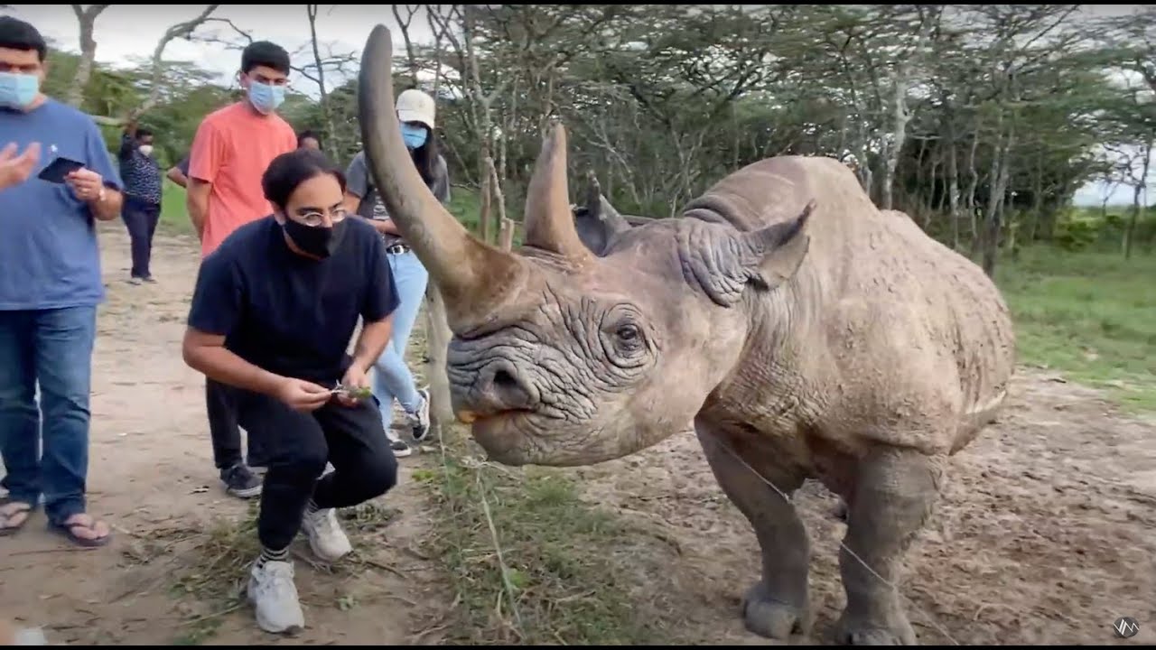 Kenya Rafiki Trip – Ol Pejeta Ranch, Sheldrick Foundation, Giraffe Center