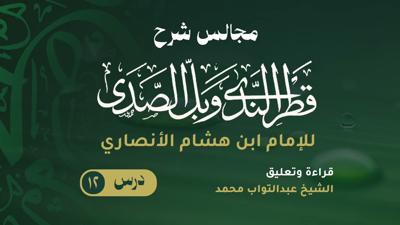 شرح قطر الندى وبل الصدى ( ١٢ )
