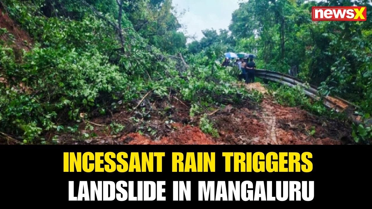 Incessant Rain Triggers Landslide in Mangaluru; NDRF, SDRF Teams Begin Search Ops