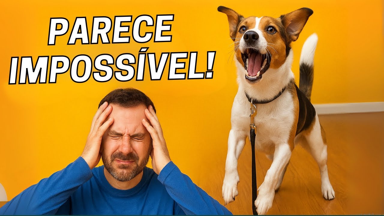 POR QUE ADESTRAR SEU CACHORRO PARECE TÃO DIFÍCIL?