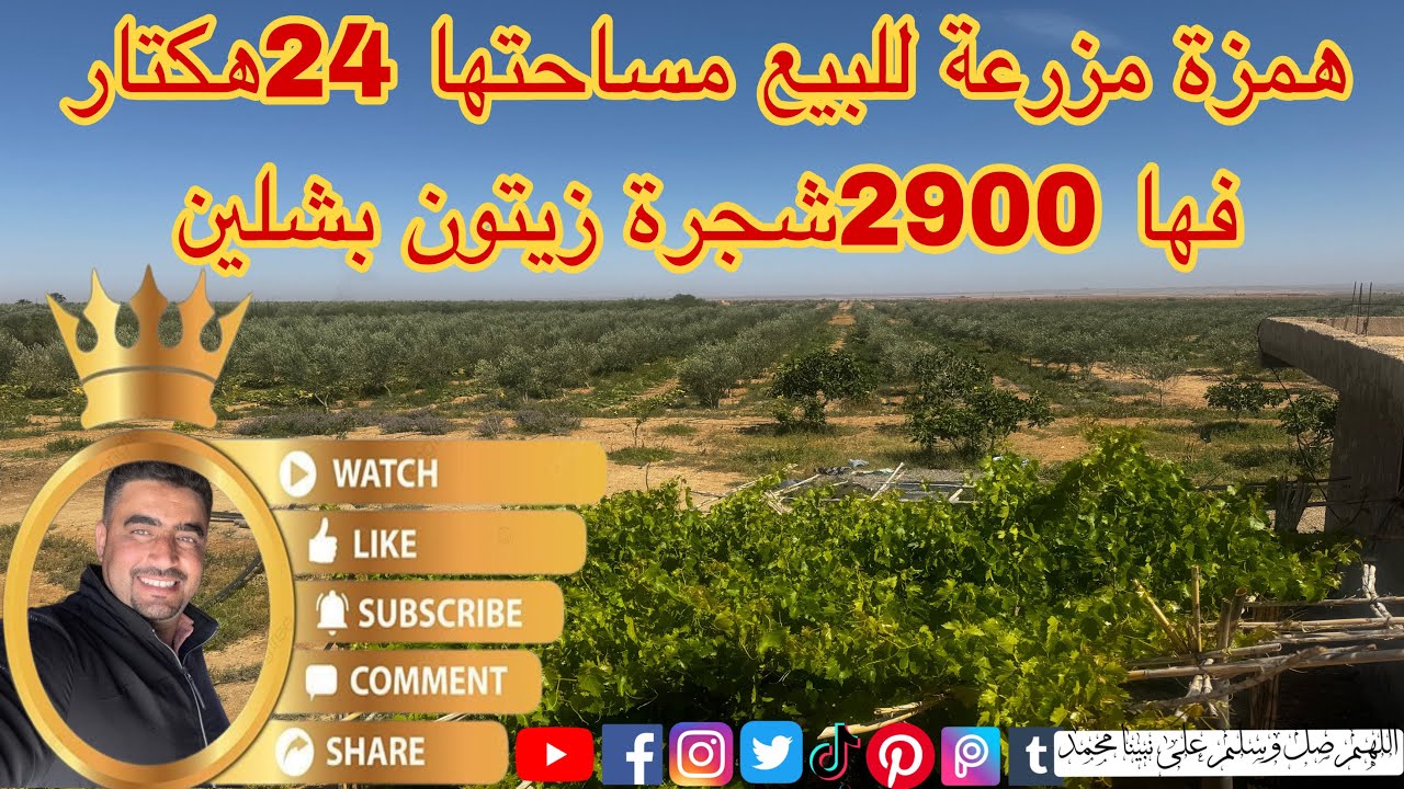 همزة مزرعة واجدة🌳 للبيع مساحتها 24هكتار تفسير في الفيديو فها 2900شجرة زيتون بشلين مجهزة بالكامل