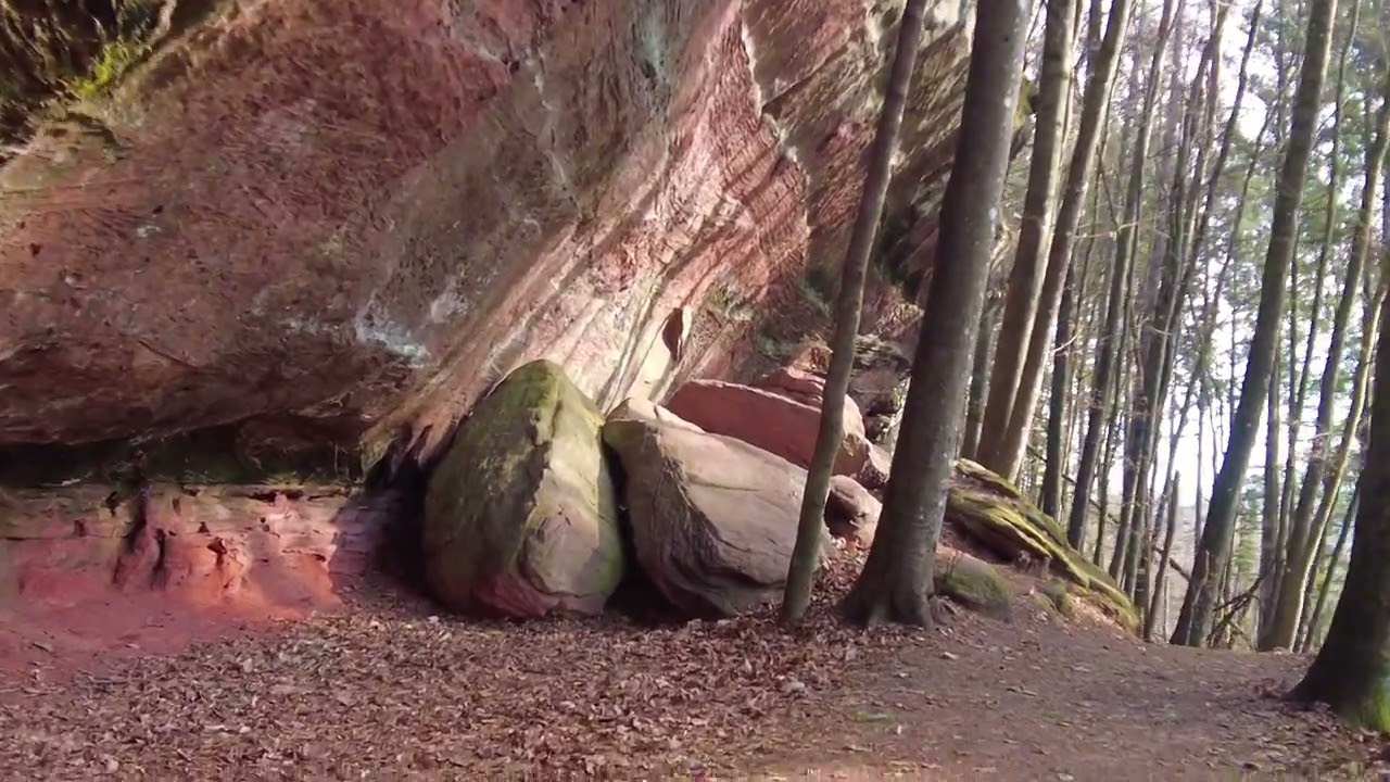 Wandern in der Pfalz * Der Altschlosspfad bei Eppenbrunn *
