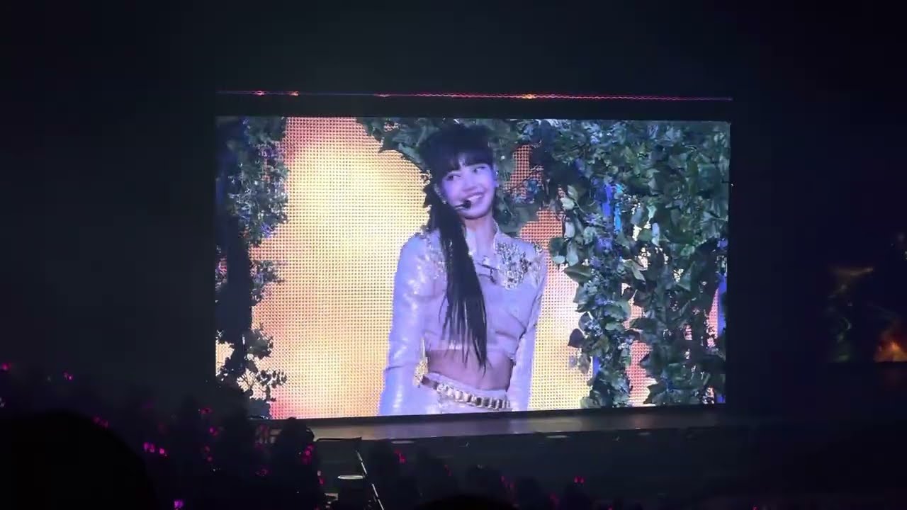 [fancam] WHISTLE - BLACKPINK : BORNPINK concert in Seoul 221016