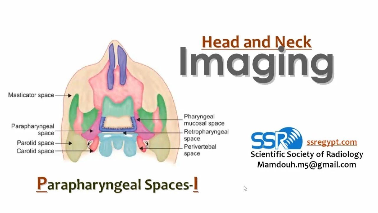 08 Imaging of Parapharyngeal spaces  TEC  Prof  Mamdouh Mahfouz