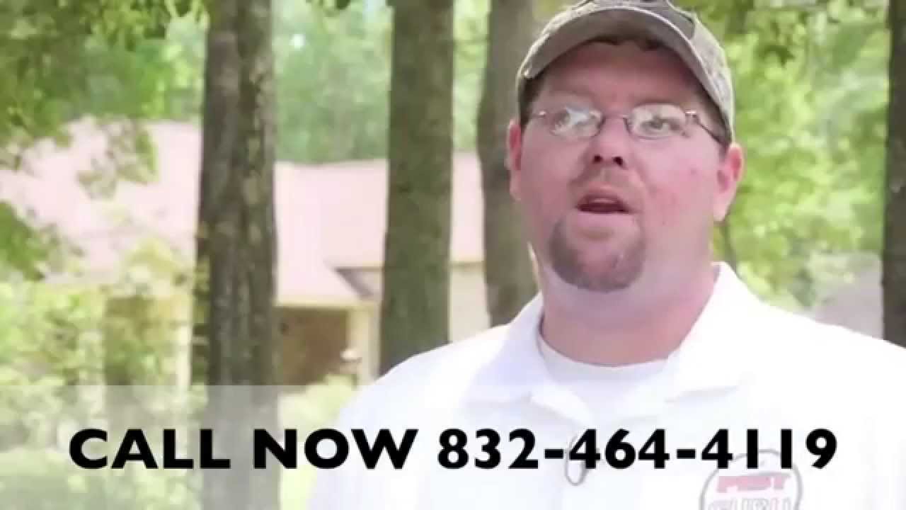Pest Control Houston Reviews - Best Pest Control Houston