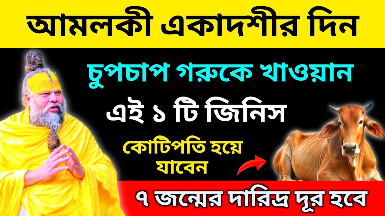 আমলকী একাদশীতে চুপিচুপি গরুকে খাওয়ান এই ১টি জিনিস। ৭ জন্মের দারিদ্র দূর হবে।
