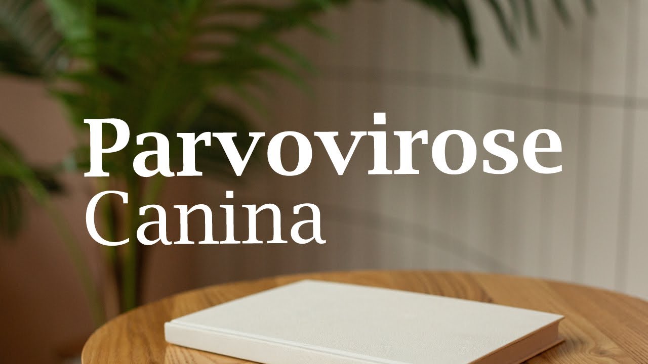 Telessa&uacute;de Goi&aacute;s - Parvovirose Canina.