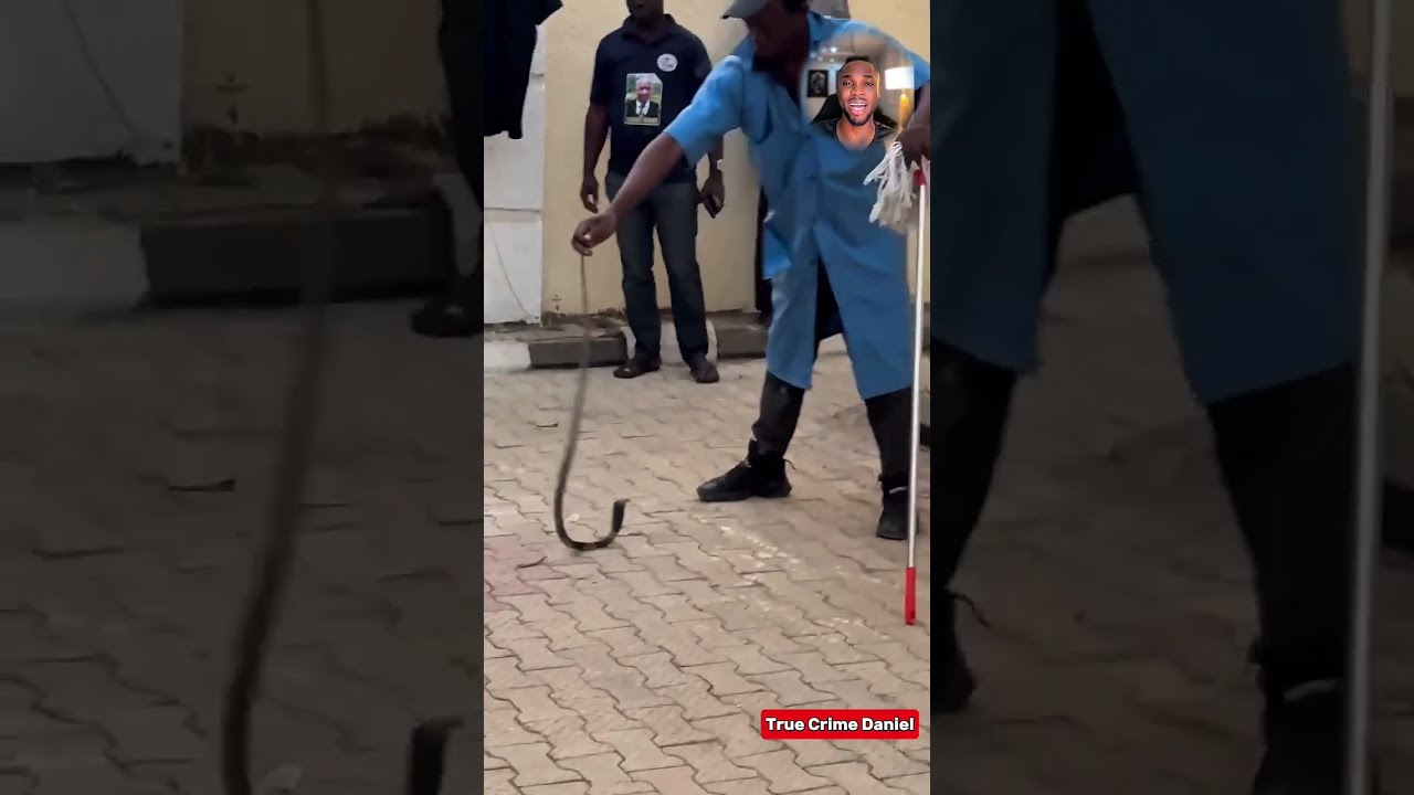 Nigerian Singer Mysteriously Bitten By A Snake In Her House: The Sad Case Of Ifunanya Nwagene