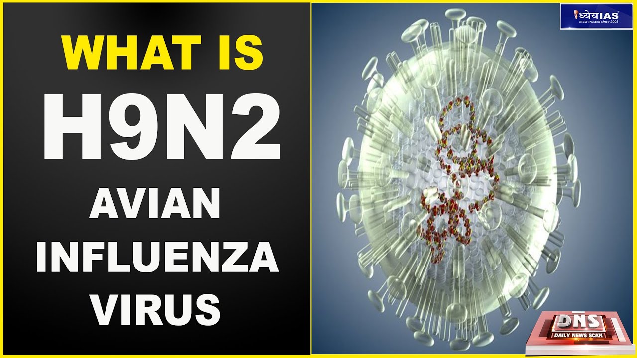 DNS: WHAT IS H9N2 AVIAN INFLUENZA VIRUS?