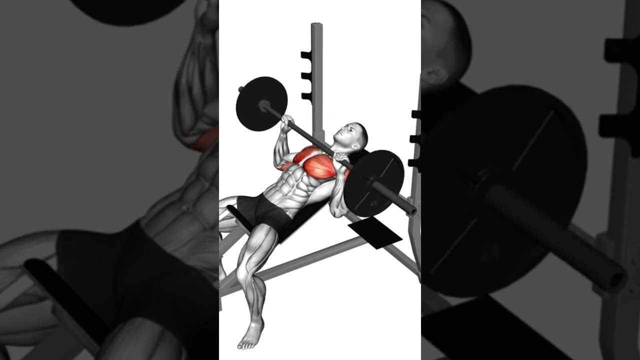 &Uuml;bungen f&uuml;r die OBERE Brust - Brust Training #brusttraining  #trainingstipps #muskelaufbautipps