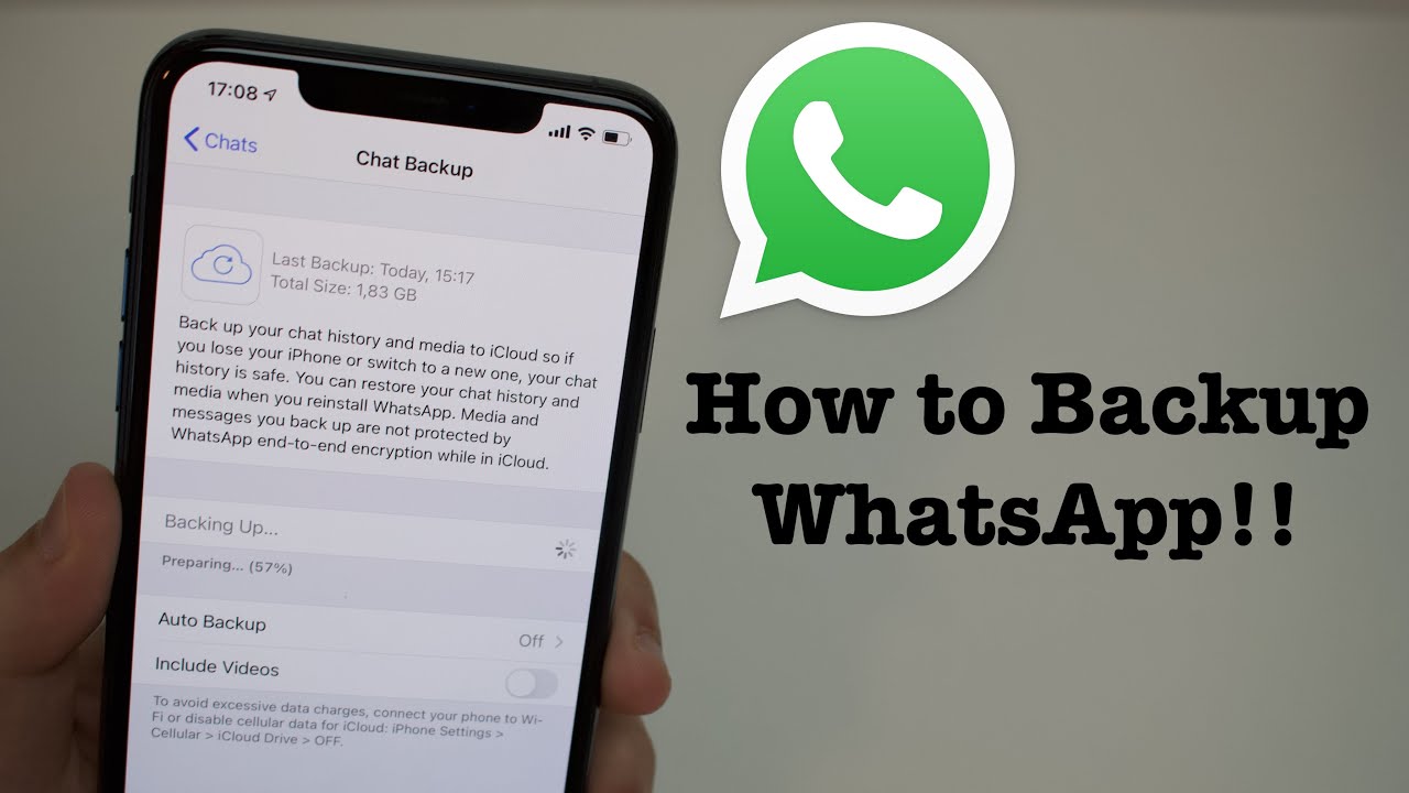 iPhone WhatsApp Backup - All Issues Fixed!!