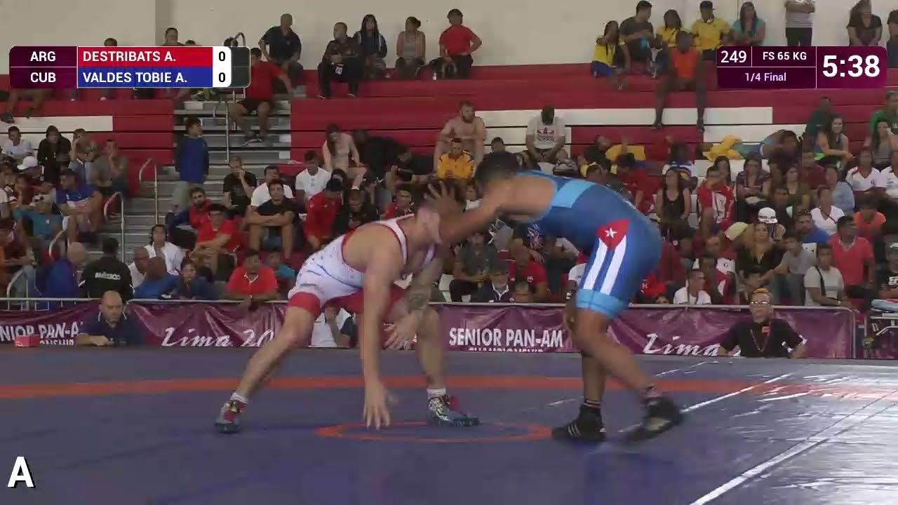1/4 FS - 65 kg: A. DESTRIBATS (ARG) v. A. VALDES TOBIE (CUB)