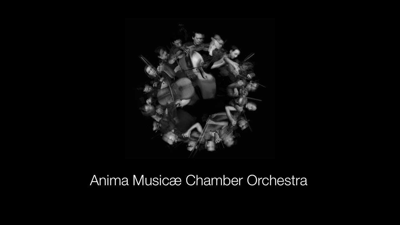 Dukay Barnabás: A Pantokrátor Szentjei Körében - Anima Musicae