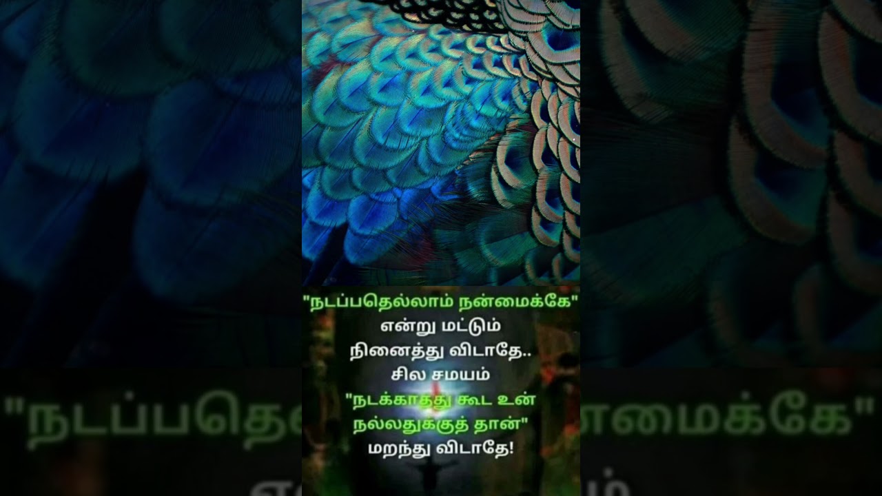 #truewords #tamilmotivation #quotes #valkaithathuvam