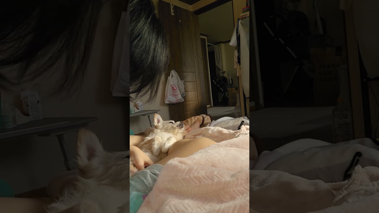 25년2월24일 물조차 먹지 못하게 되었다. 매일 고통없이 떠나길 기도하고 아침에 인사할수있어서 감사했다
