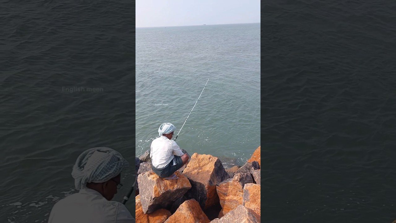 ജീവനുള്ള ചെമ്മീനാണ് ചൂണ്ടയിലെ ഇര 