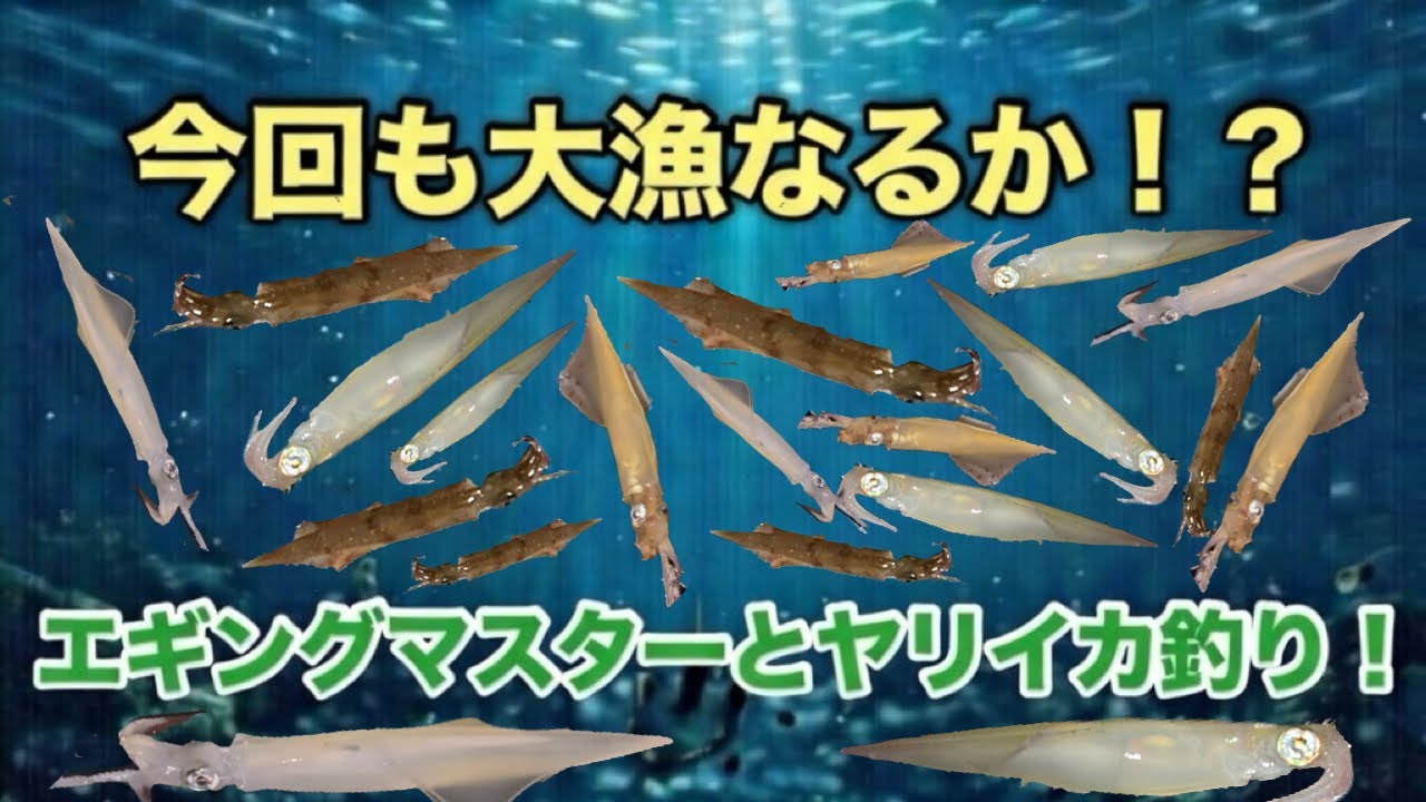 今回も大漁なるか！？エギングマスターとヤリイカ釣りに挑む！【エギング】【ヤリイカ】【ササイカ】