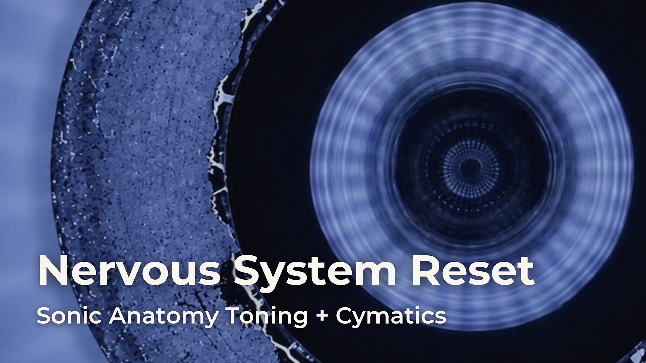 Nervous System Reset