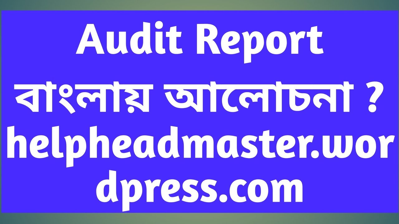 Audit Report