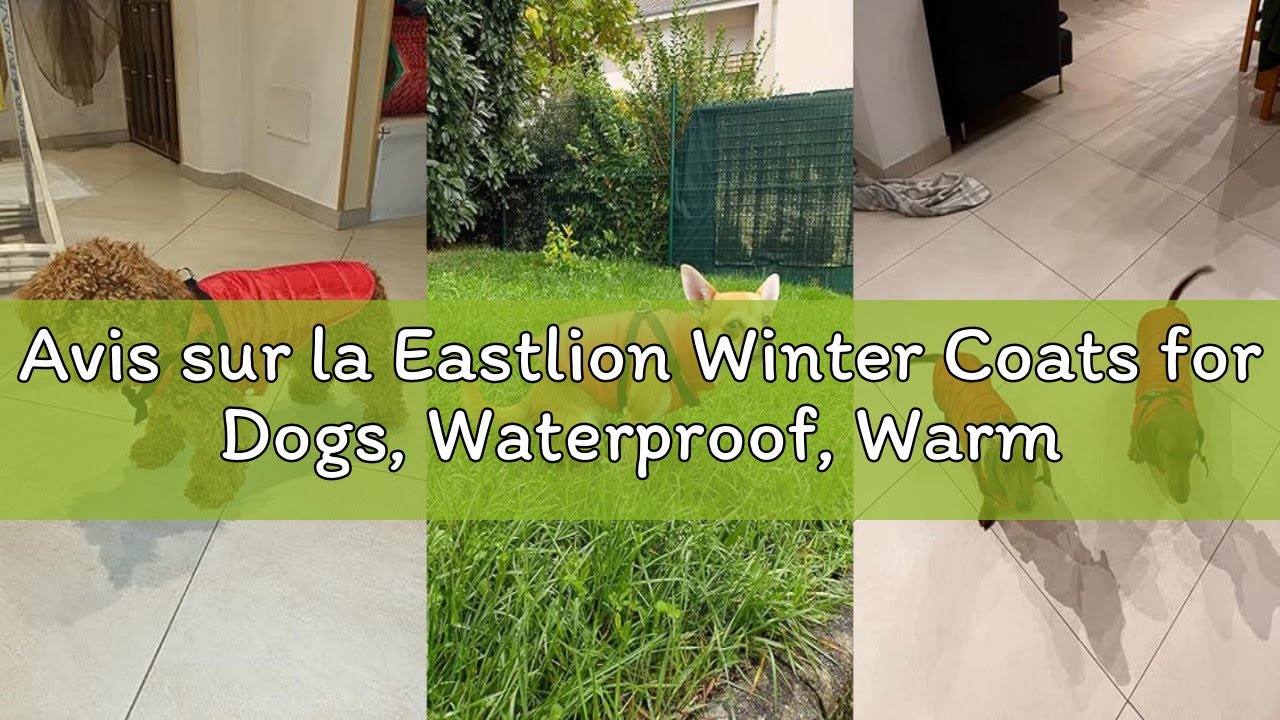 Avis sur la Eastlion Winter Coats for Dogs, Waterproof, Warm with Harness, Puppy Jacket Vest Clothes