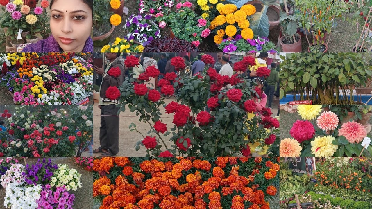 মুচিশা কৃষি মেলা।#viral #vrilvideo #viralvlog