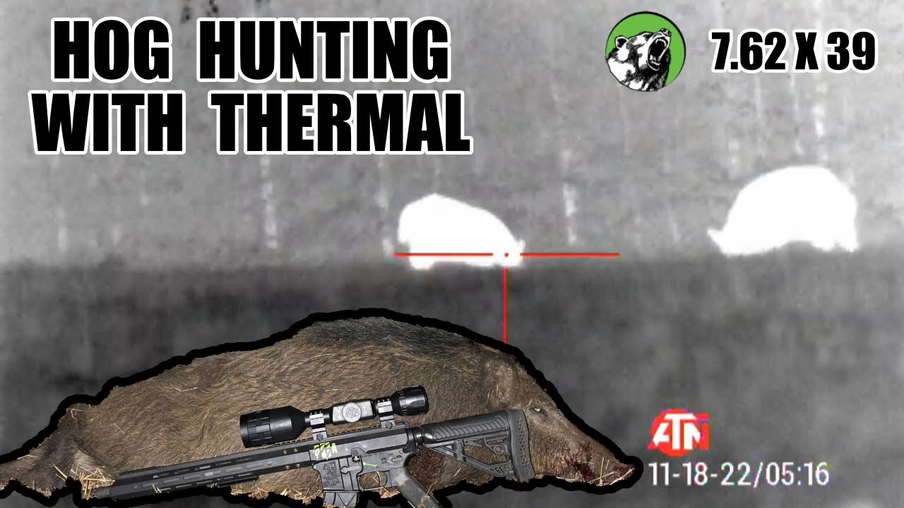 7.62 X 39 Bear Creek Arsenal Takes Down a Hog