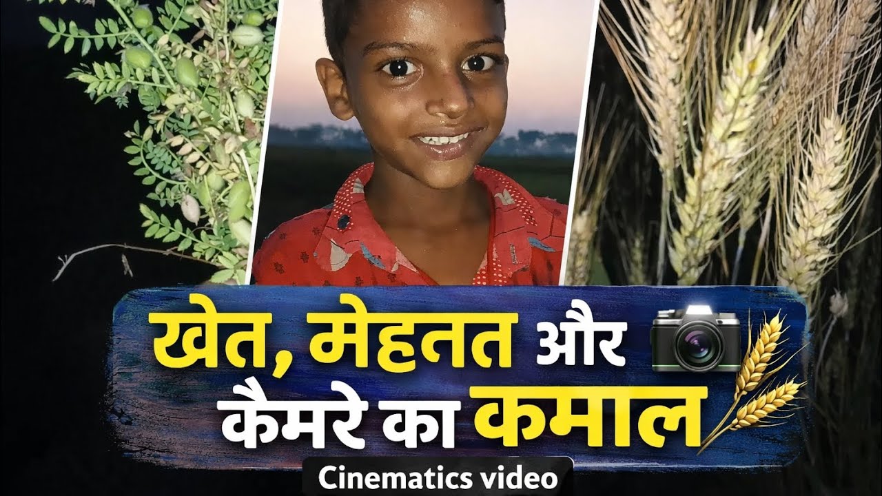 “खेती भी एक कला है | Wheat Farming Cinematic Shot”