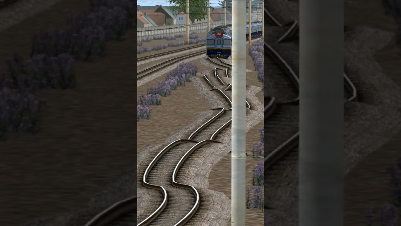 rel anti ngantuk #keretaapi #trainsimulator